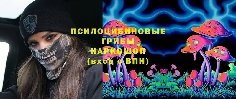 что такое   Лебедянь  Псилоцибиновые грибы MAGIC MUSHROOMS 